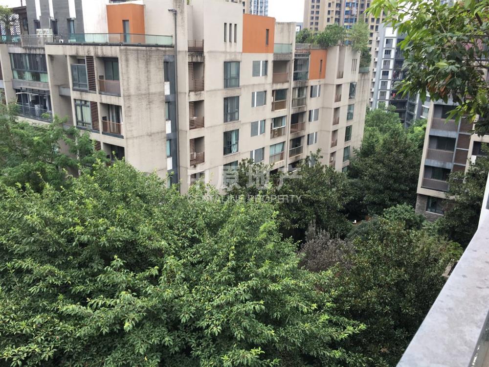 龙湖大城小院