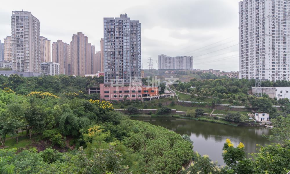 大花园 小区环境非常舒服】-常青藤人文别墅3组团二手房-重庆中原地产
