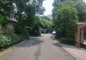 常青藤人文别墅8组团