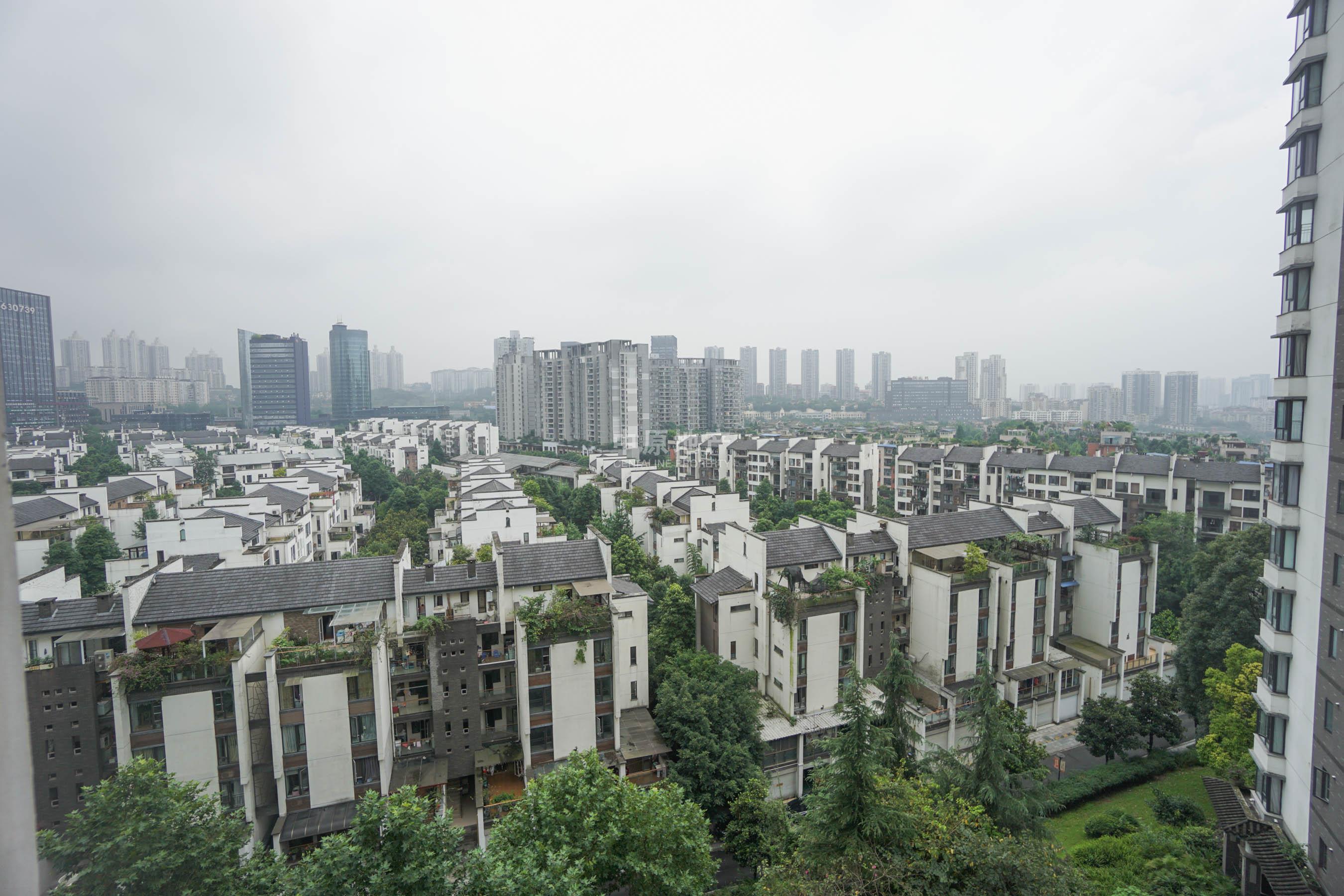 金科东方雅郡