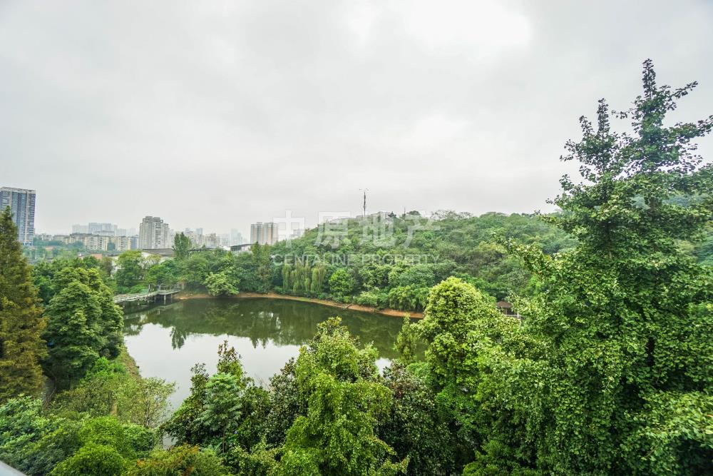 棕榈泉对面 一线联排别墅 湖景】-金科天湖美镇二手房-重庆中原地产网